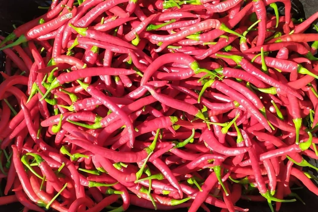 Especias Crespí (Mercat Santa Catalina)