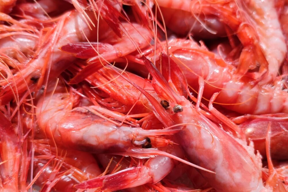 Peix i marisc al Mercat de Santa Catalina, qualitat excel·lent