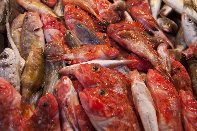 Peix i marisc al Mercat de Santa Catalina, qualitat excel·lent